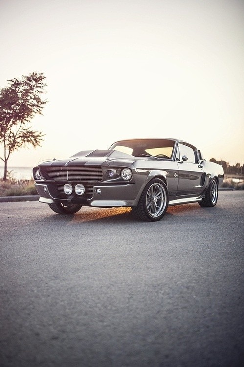 Photo:  Shelby Mustang 500E 'Eleanor'